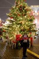 new-year-story-in-moscow-2014-2015-18